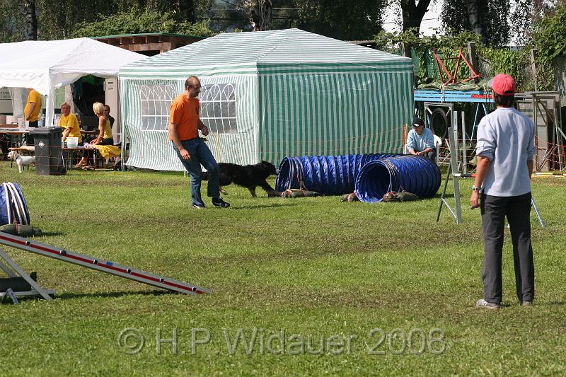 jubil.lusten. 229.jpg